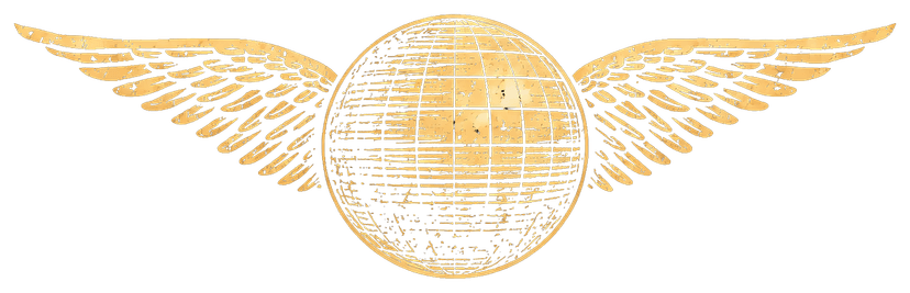 The Pro Light Society